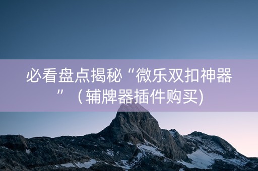 必看盘点揭秘“微乐双扣神器”（辅牌器插件购买)