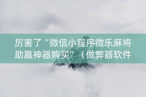 厉害了“微信小程序微乐麻将助赢神器购买”（做弊器软件下载)