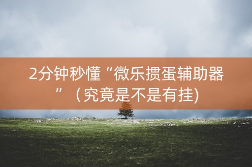 2分钟秒懂“微乐掼蛋辅助器”（究竟是不是有挂)