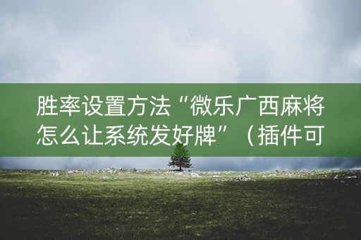胜率设置方法“微乐广西麻将怎么让系统发好牌”（插件可信吗)