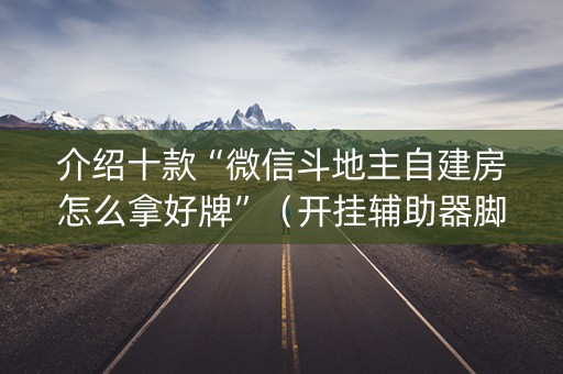 介绍十款“微信斗地主自建房怎么拿好牌”（开挂辅助器脚本)