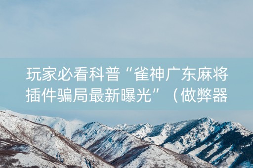 玩家必看科普“雀神广东麻将插件骗局最新曝光”（做弊器软件下载)