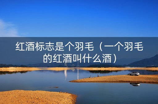 红酒标志是个羽毛（一个羽毛的红酒叫什么酒）