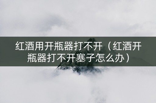 红酒用开瓶器打不开（红酒开瓶器打不开塞子怎么办）