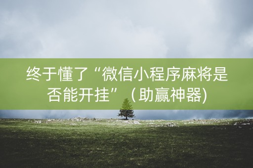 终于懂了“微信小程序麻将是否能开挂”（助赢神器)