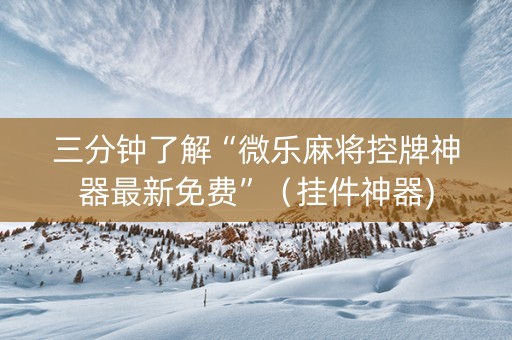 三分钟了解“微乐麻将控牌神器最新免费”（挂件神器)