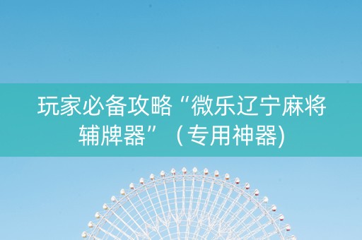 玩家必备攻略“微乐辽宁麻将辅牌器”（专用神器)