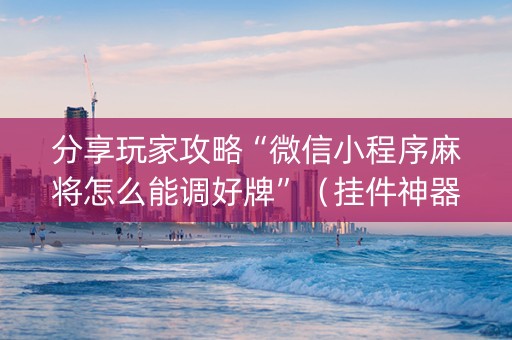 分享玩家攻略“微信小程序麻将怎么能调好牌”（挂件神器)