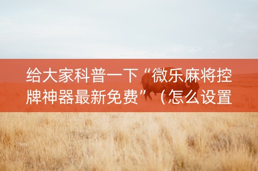 给大家科普一下“微乐麻将控牌神器最新免费”（怎么设置才能赢)