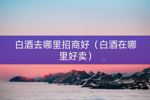 白酒去哪里招商好（白酒在哪里好卖）