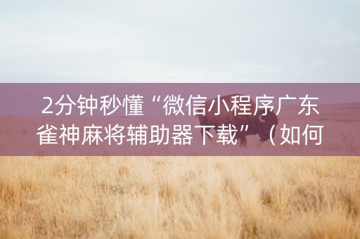 2分钟秒懂“微信小程序广东雀神麻将辅助器下载”（如何让系统发好牌)