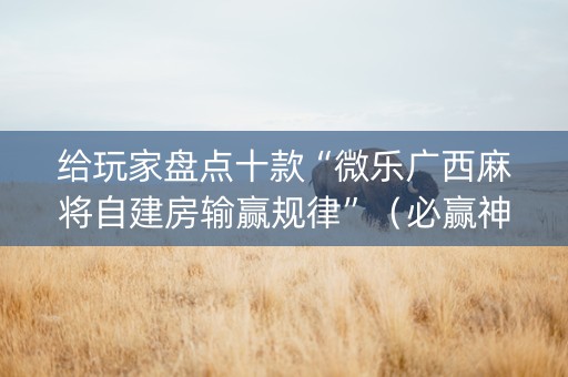 给玩家盘点十款“微乐广西麻将自建房输赢规律”（必赢神器辅助器)