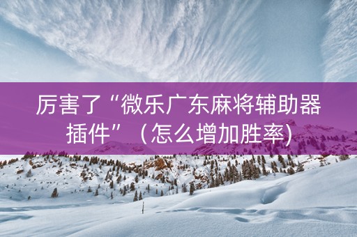 厉害了“微乐广东麻将辅助器插件”（怎么增加胜率)