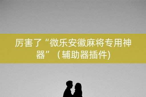 厉害了“微乐安徽麻将专用神器”（辅助器插件)