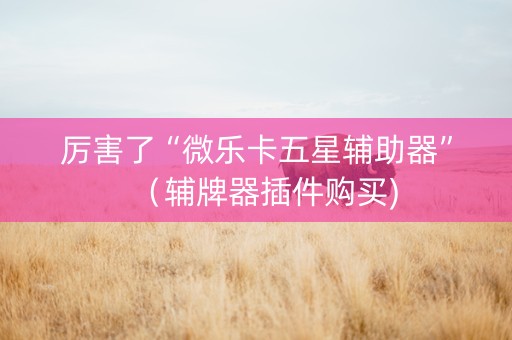厉害了“微乐卡五星辅助器”（辅牌器插件购买)