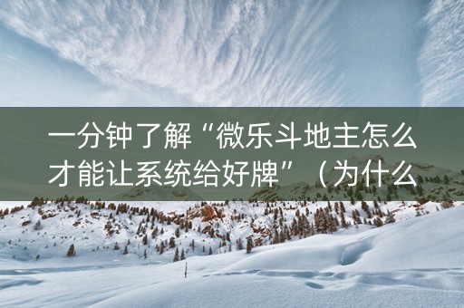 一分钟了解“微乐斗地主怎么才能让系统给好牌”（为什么有人一直赢)