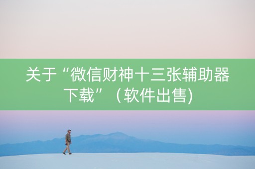 关于“微信财神十三张辅助器下载”（软件出售)