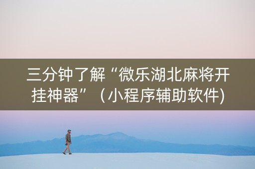 三分钟了解“微乐湖北麻将开挂神器”（小程序辅助软件)
