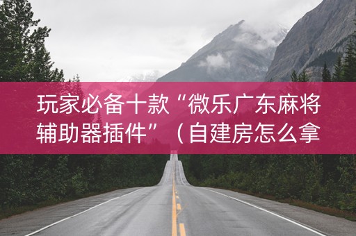 玩家必备十款“微乐广东麻将辅助器插件”（自建房怎么拿好牌)