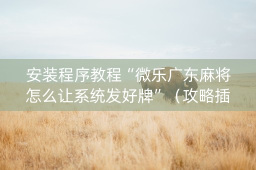 安装程序教程“微乐广东麻将怎么让系统发好牌”（攻略插件)