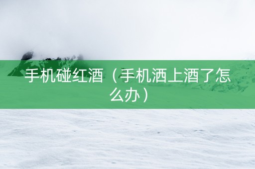 手机碰红酒（手机洒上酒了怎么办）