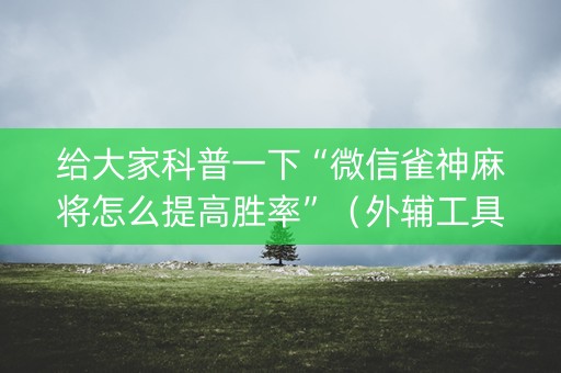 给大家科普一下“微信雀神麻将怎么提高胜率”（外辅工具)