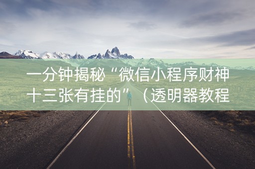 一分钟揭秘“微信小程序财神十三张有挂的”（透明器教程)