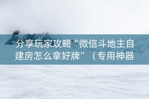 分享玩家攻略“微信斗地主自建房怎么拿好牌”（专用神器)