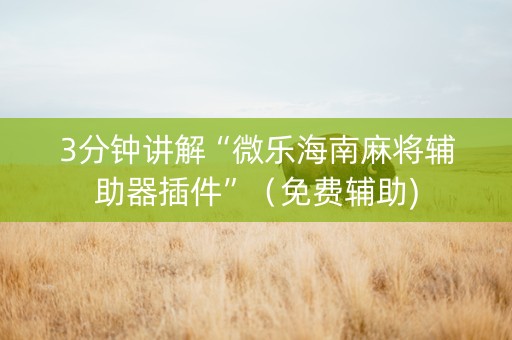 3分钟讲解“微乐海南麻将辅助器插件”（免费辅助)