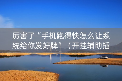 厉害了“手机跑得快怎么让系统给你发好牌”（开挂辅助插件)