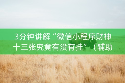 3分钟讲解“微信小程序财神十三张究竟有没有挂”（辅助神器免费)