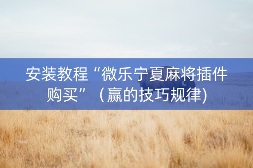 安装教程“微乐宁夏麻将插件购买”（赢的技巧规律)