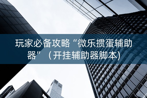 玩家必备攻略“微乐掼蛋辅助器”（开挂辅助器脚本)