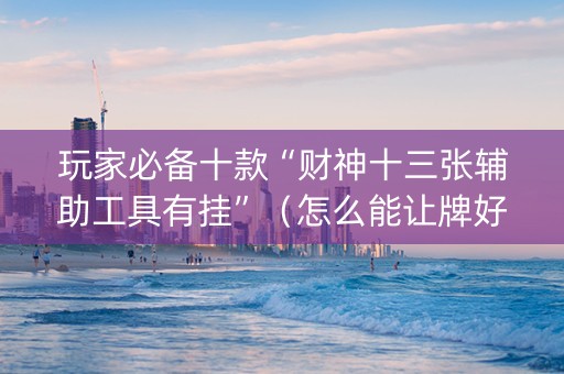 玩家必备十款“财神十三张辅助工具有挂”（怎么能让牌好一点)