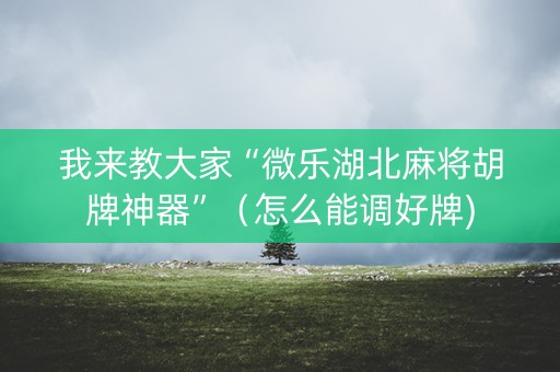 我来教大家“微乐湖北麻将胡牌神器”（怎么能调好牌)