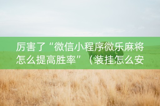 厉害了“微信小程序微乐麻将怎么提高胜率”（装挂怎么安装)