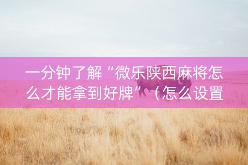 一分钟了解“微乐陕西麻将怎么才能拿到好牌”（怎么设置才能赢)