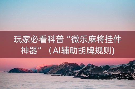 玩家必看科普“微乐麻将挂件神器”（AI辅助胡牌规则)