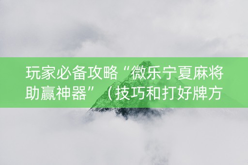 玩家必备攻略“微乐宁夏麻将助赢神器”（技巧和打好牌方法)