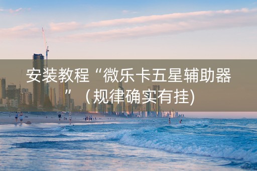 安装教程“微乐卡五星辅助器”（规律确实有挂)