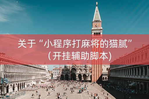 关于“小程序打麻将的猫腻”（开挂辅助脚本)