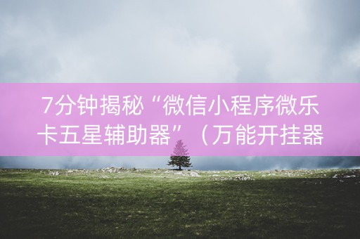 7分钟揭秘“微信小程序微乐卡五星辅助器”（万能开挂器)