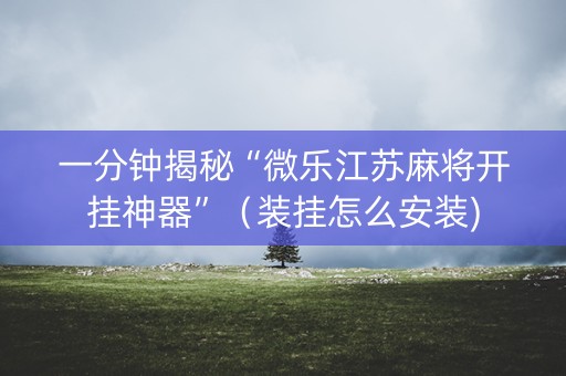 一分钟揭秘“微乐江苏麻将开挂神器”（装挂怎么安装)