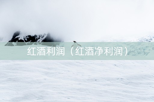 红酒利润（红酒净利润）
