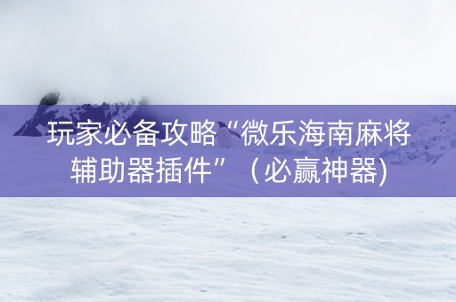 玩家必备攻略“微乐海南麻将辅助器插件”（必赢神器)