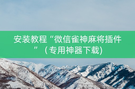 安装教程“微信雀神麻将插件”（专用神器下载)