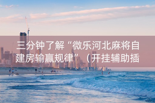 三分钟了解“微乐河北麻将自建房输赢规律”（开挂辅助插件)