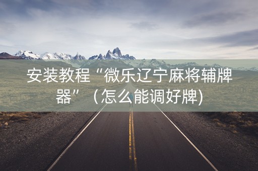 安装教程“微乐辽宁麻将辅牌器”（怎么能调好牌)