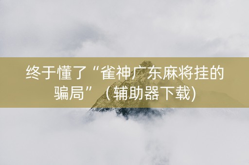 终于懂了“雀神广东麻将挂的骗局”（辅助器下载)