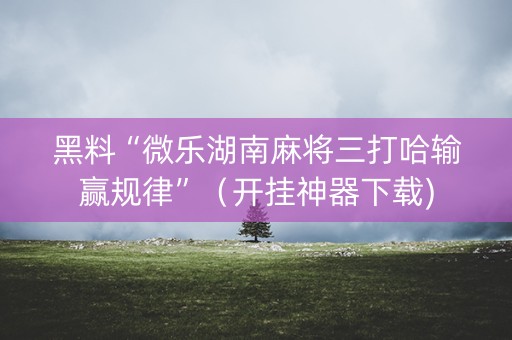 黑料“微乐湖南麻将三打哈输赢规律”（开挂神器下载)